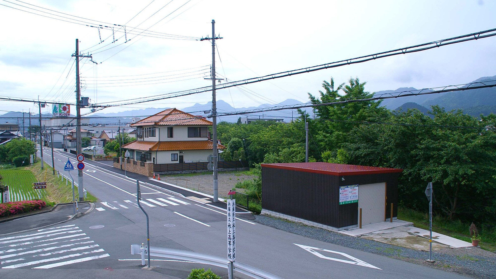 * View from the window