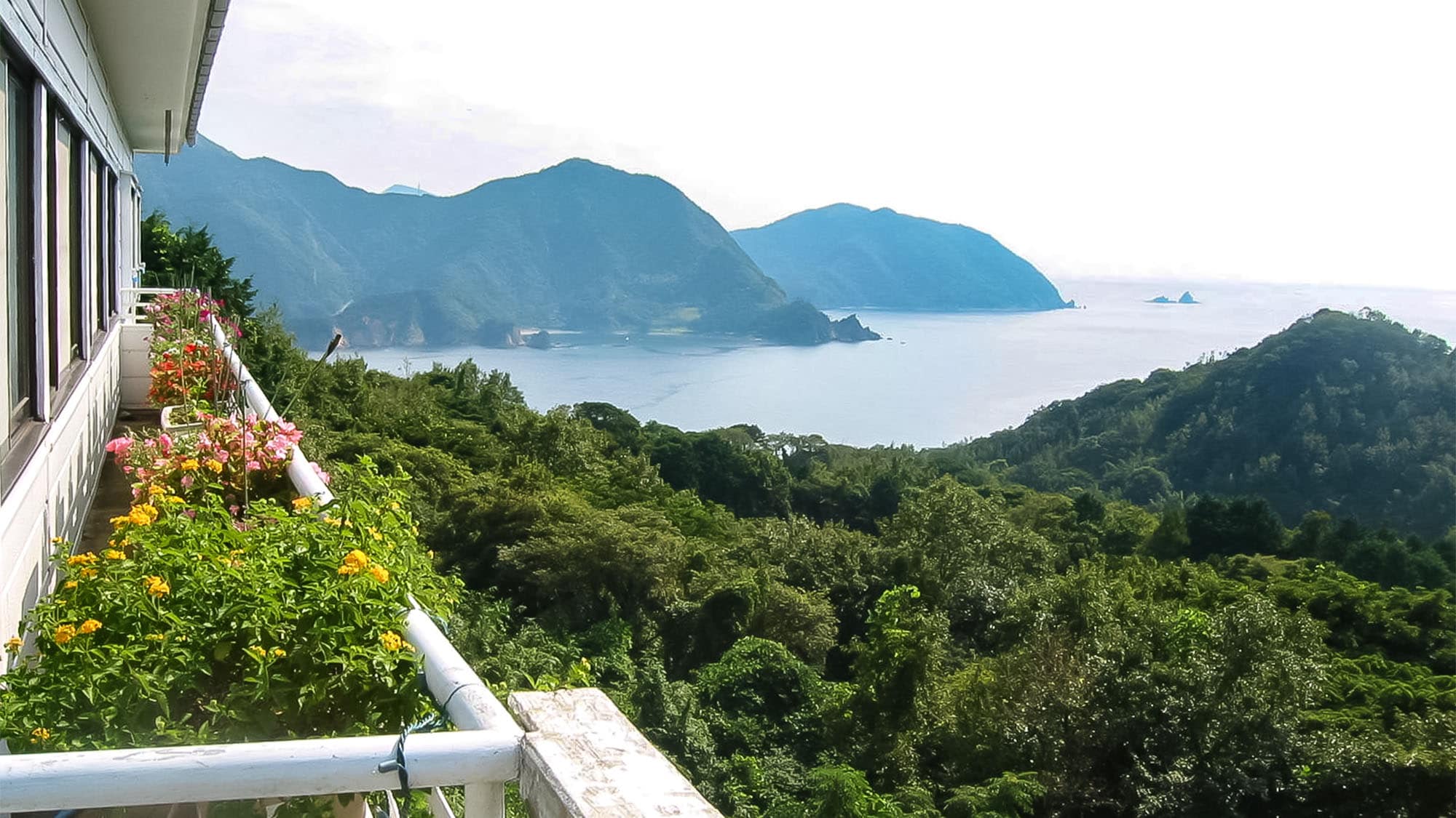 ・You can see the beautiful scenery of Suruga Bay from our guesthouse.