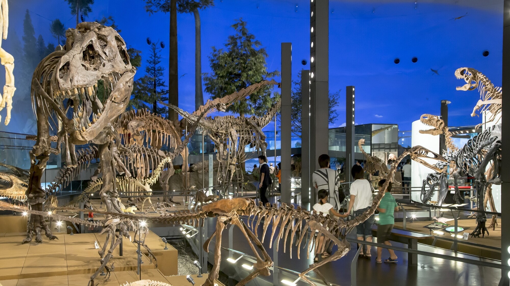 Fukui Prefectural Dinosaur Museum