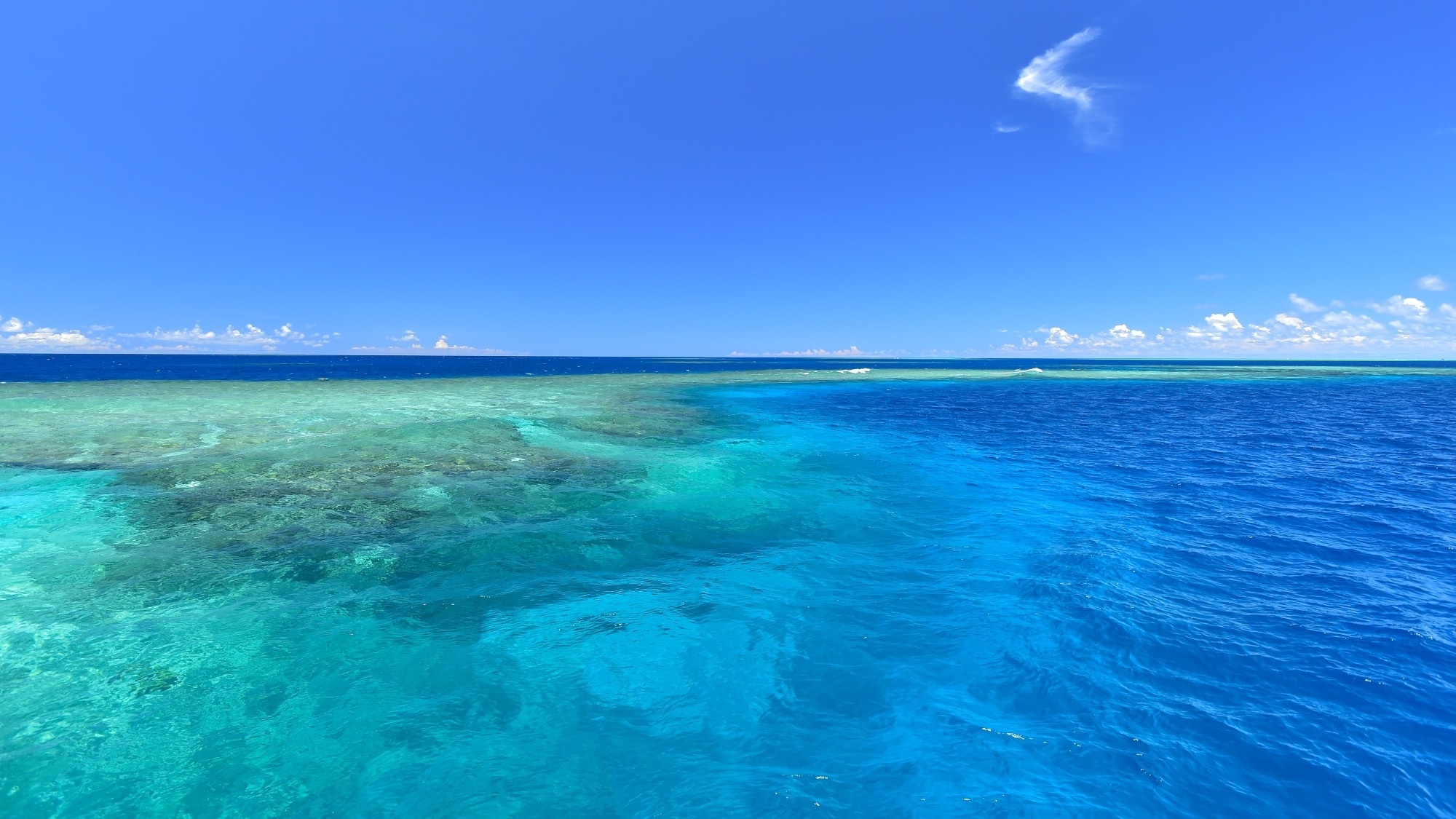 [Yaebishi Boat Snorkeling] A snorkeling spot that can only be reached by boat. An amazing snorkeling experience