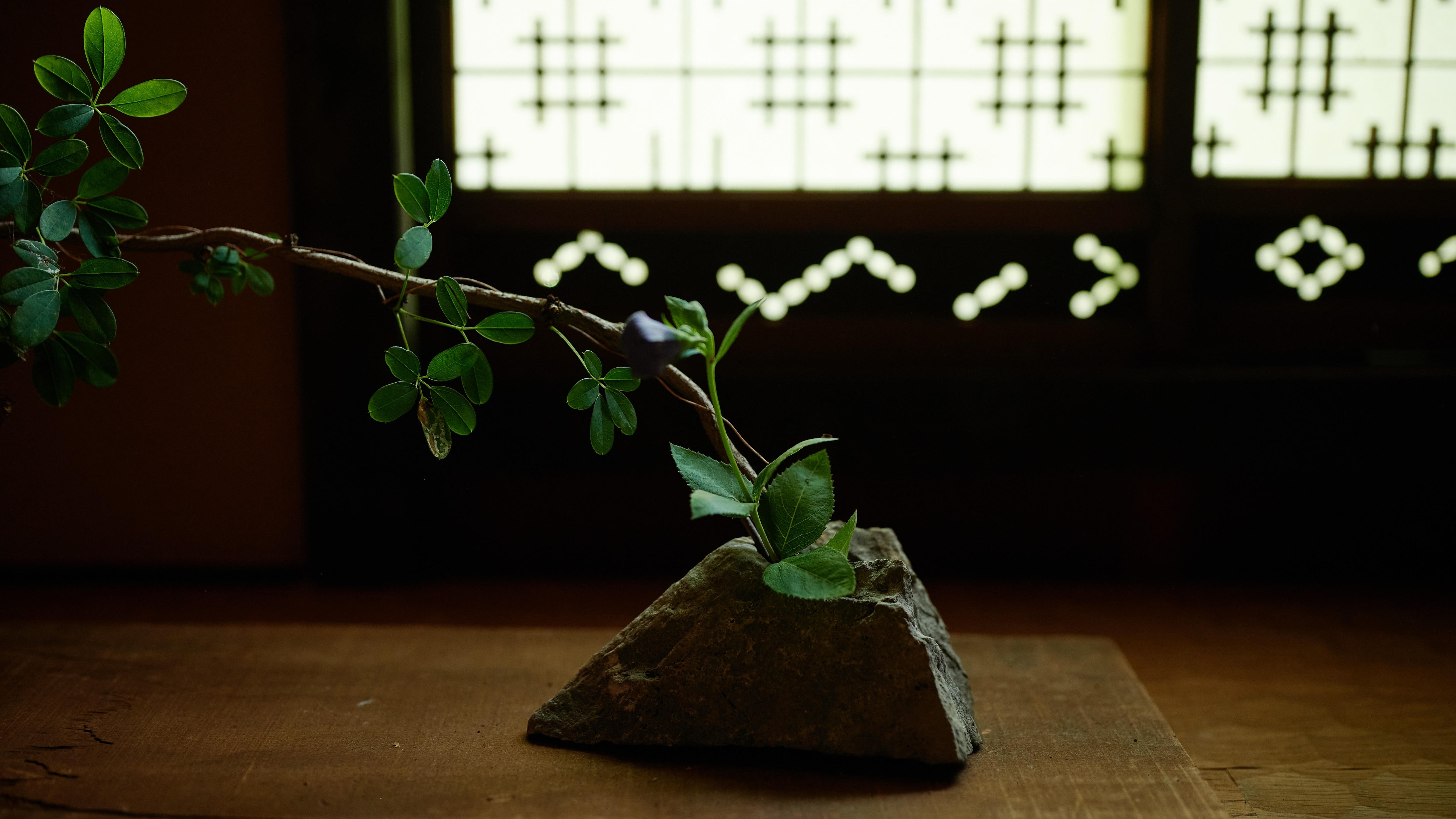 [Toshiyoshiya] Hyakuichi / A ken connected by a "fusuma" that feels like a machiya / with a semi-open-air bath