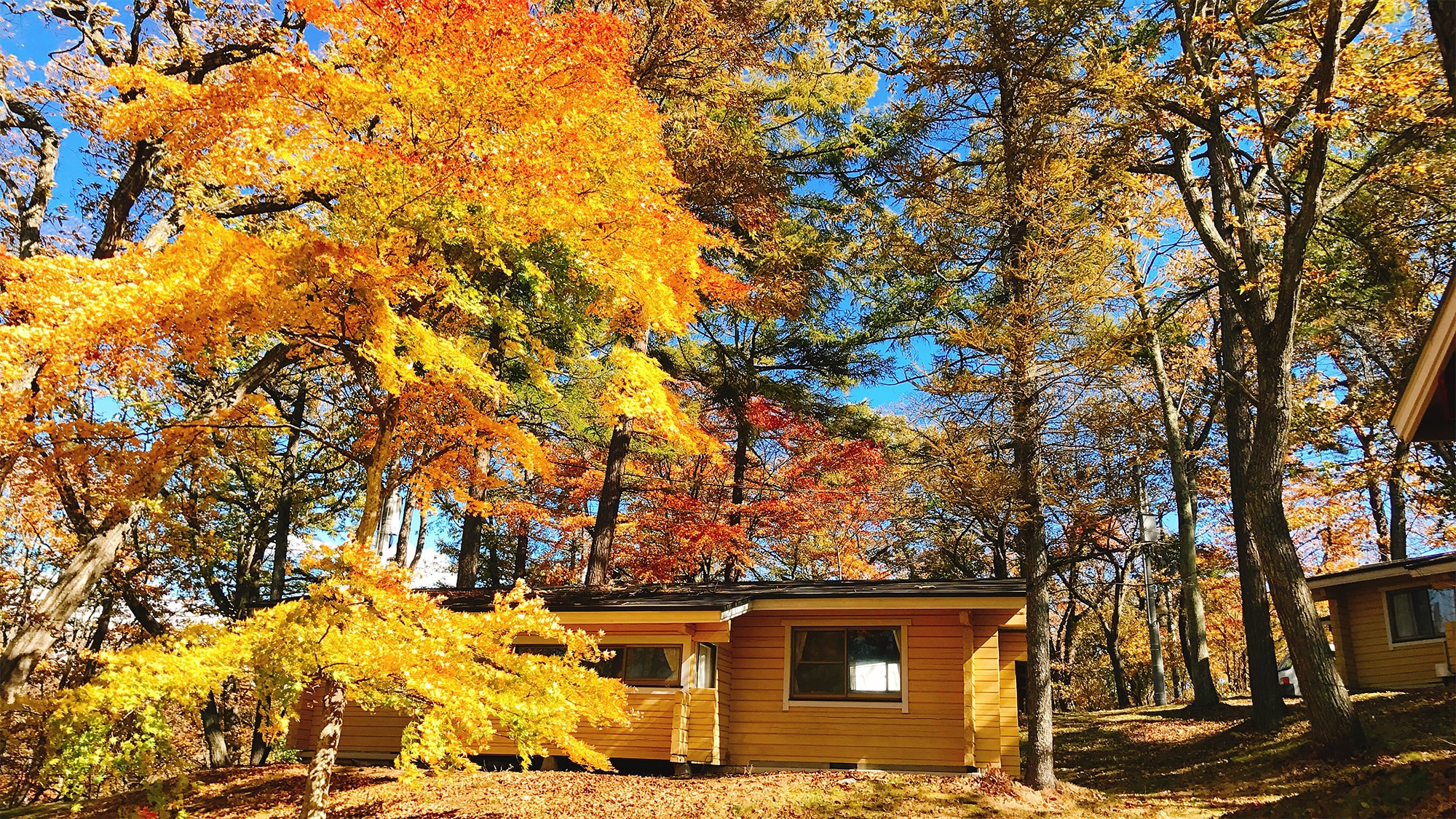 Karuizawa Prince Hotel East Cottage A type exterior image