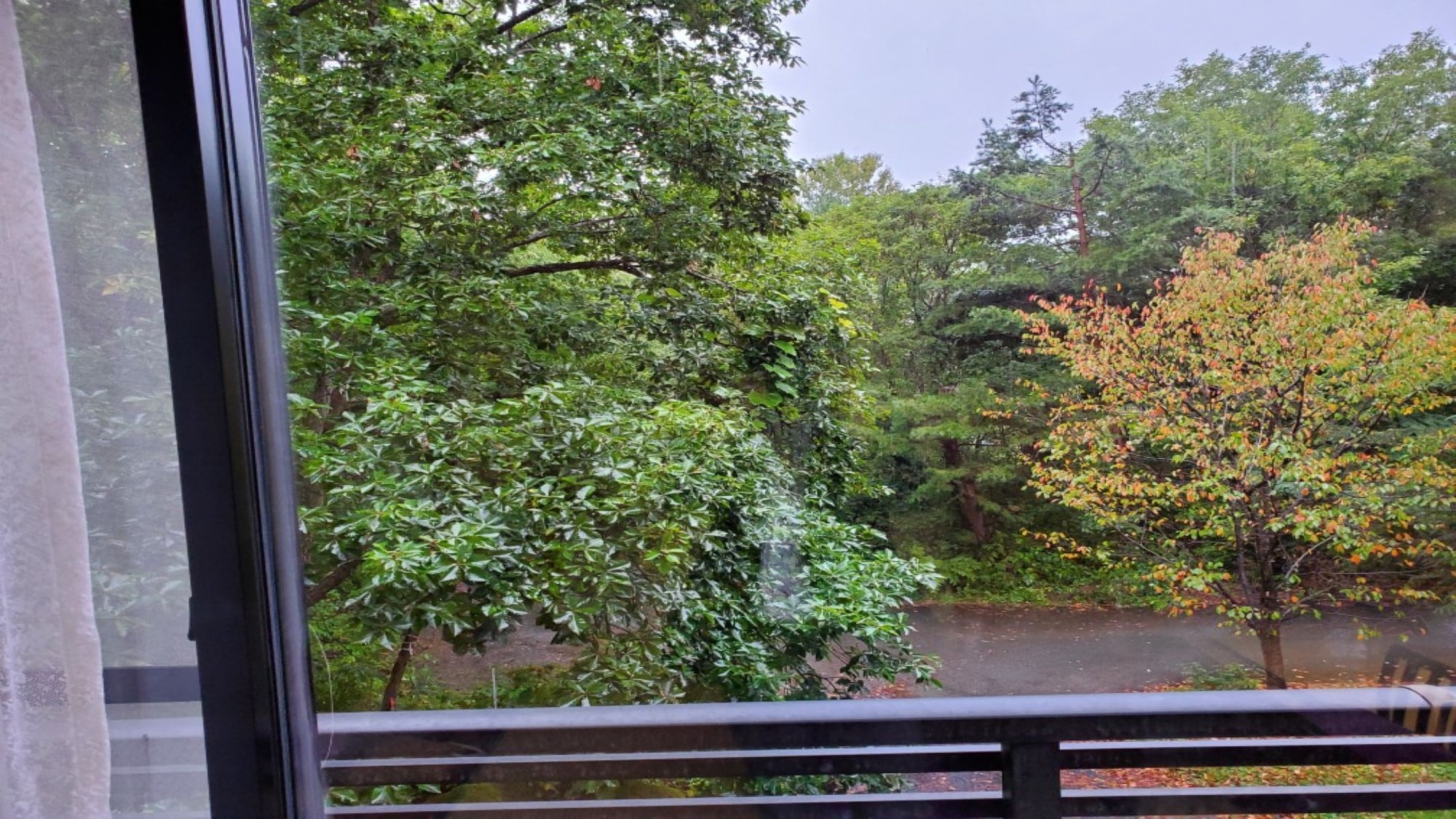 [Kumagayosa Japanese style room 8 tatami mats + 8 tatami mats] This is the view from the room.