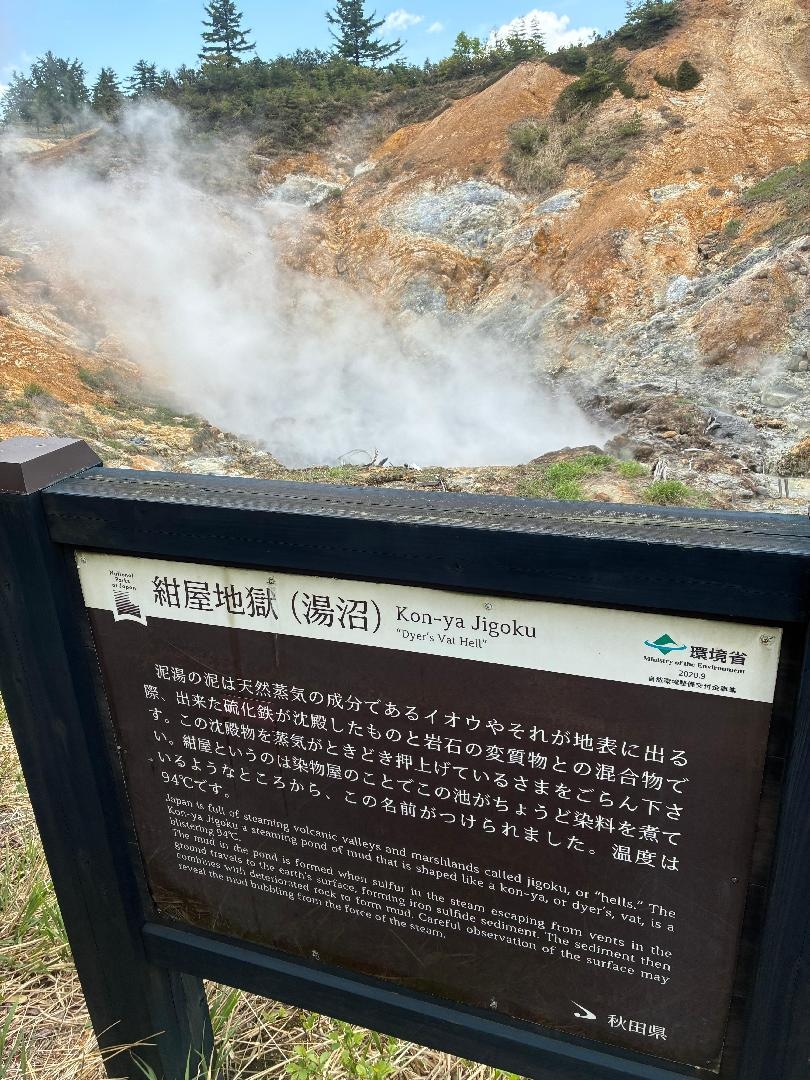 9A3352E7-F80E-43D6-ACFA-4F909B95B0CA.jpeg