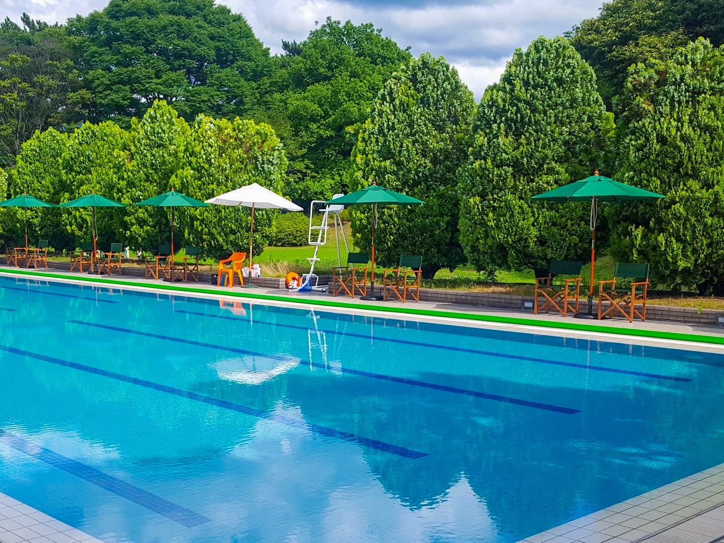 Outdoor pool and garden