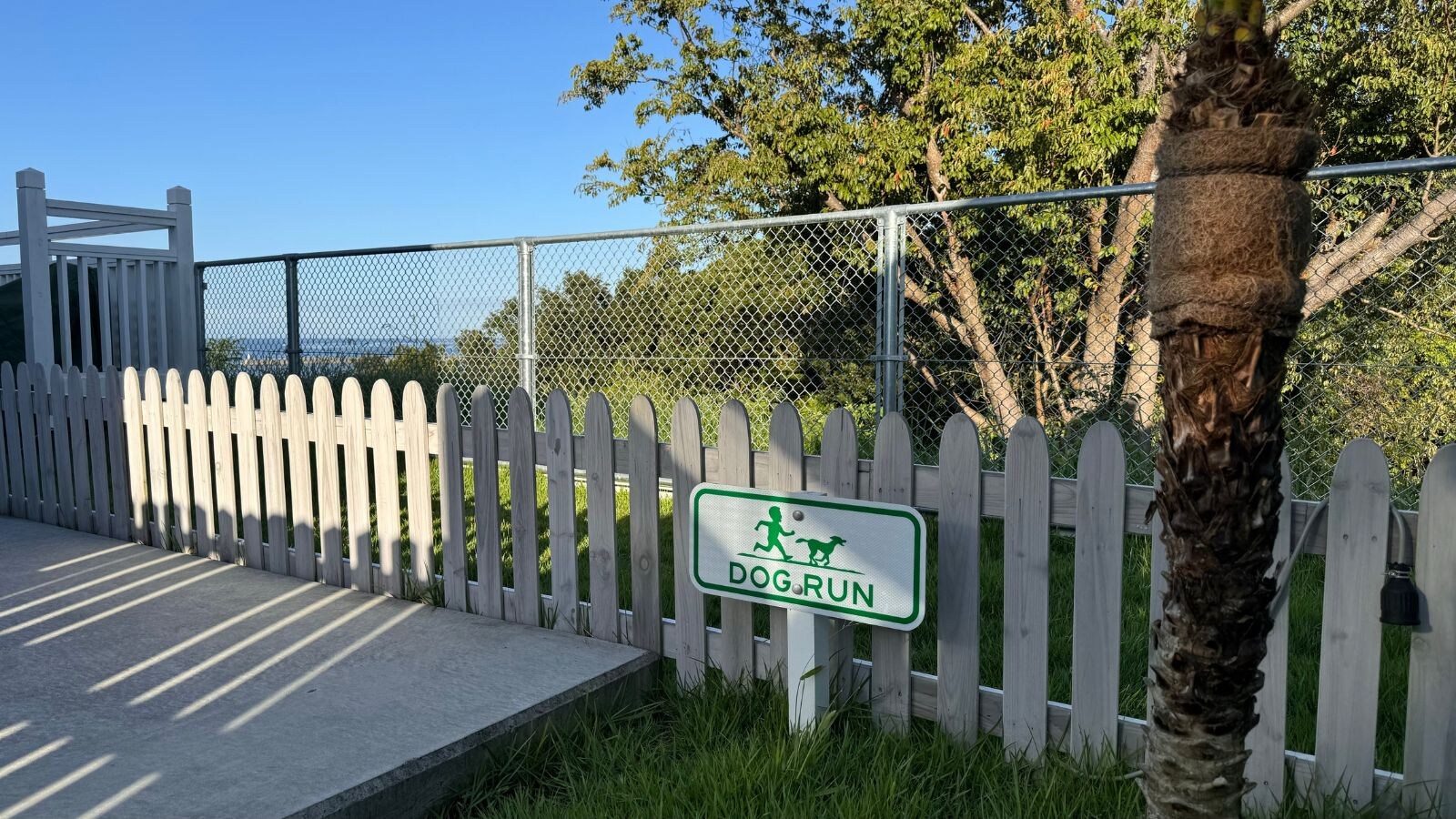 [Room 6] Dog run