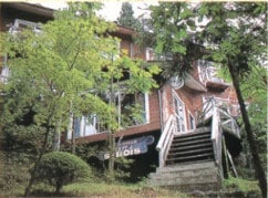 Appearance image