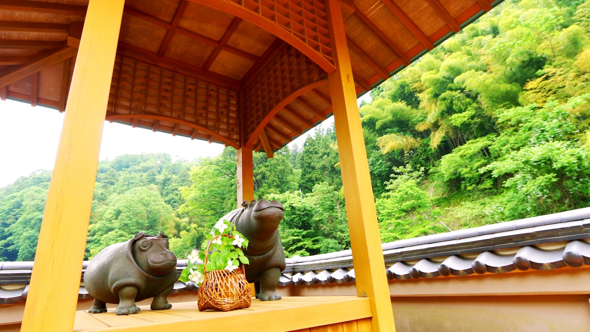 Head to the "Moon Viewing Platform" from the rooftop garden, a spot that we are proud of. Enjoy the starry sky and the moon in the dimly lit Yuwaku Onsen.