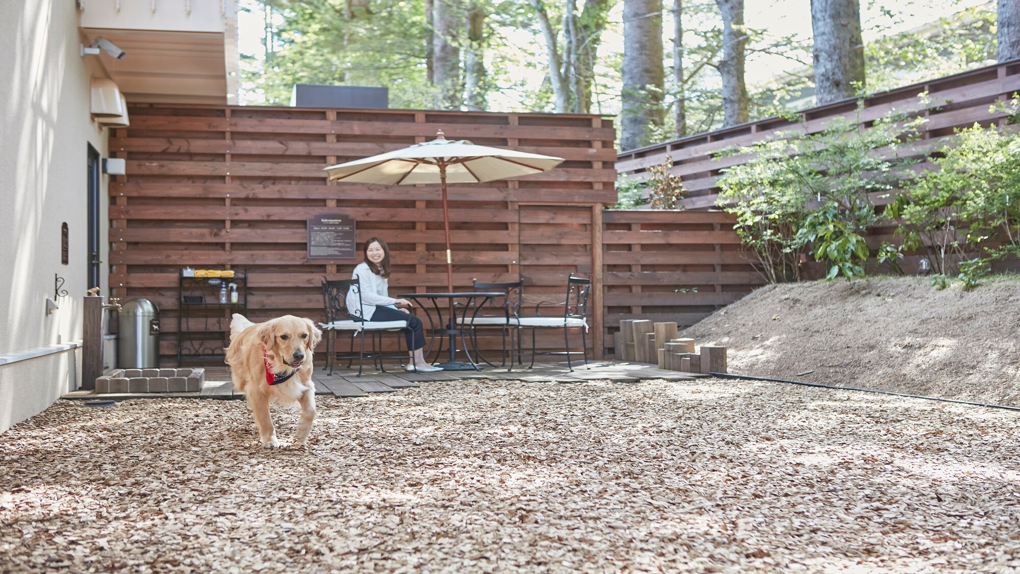 [Facilities] Outdoor dog run