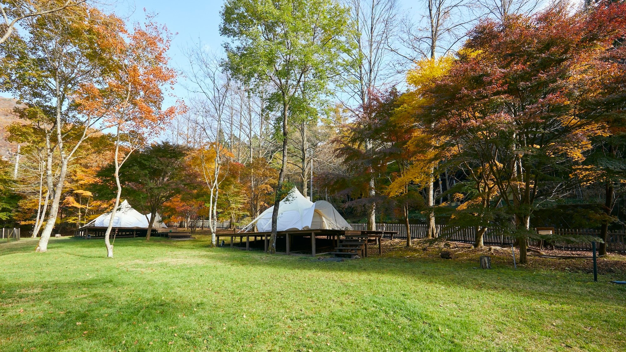 Enjoy a special moment while taking in the scenery of each season.