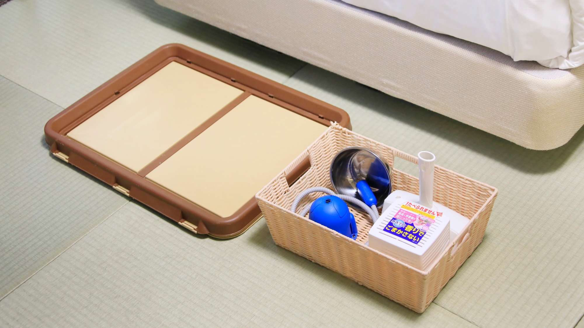 [Common to all dog rooms]