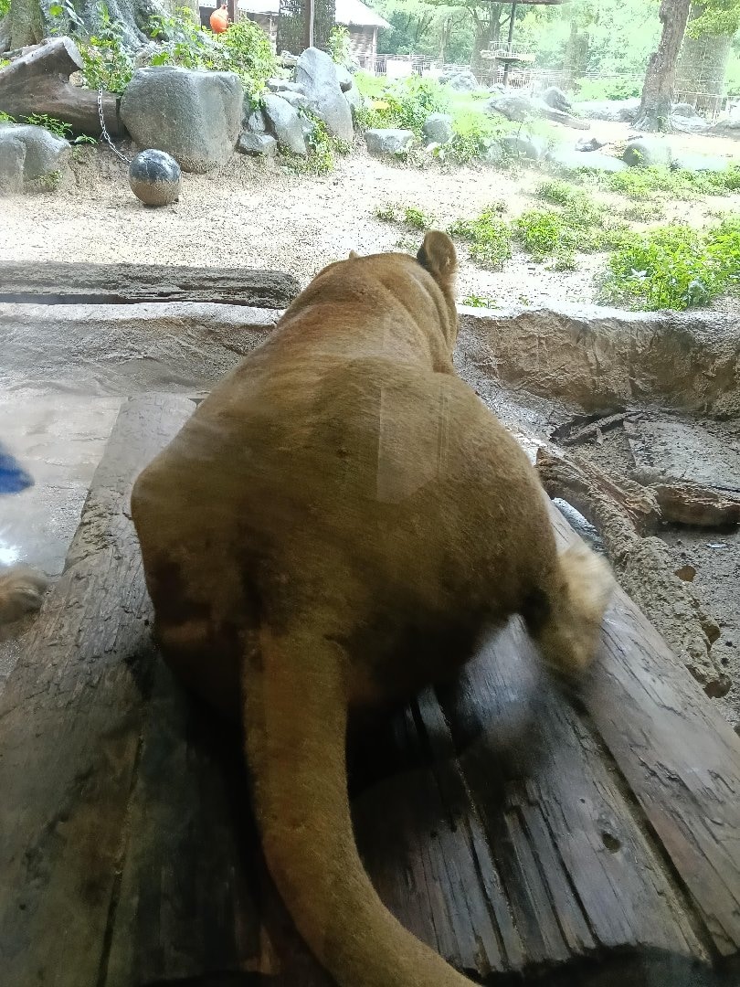 3766.jpg