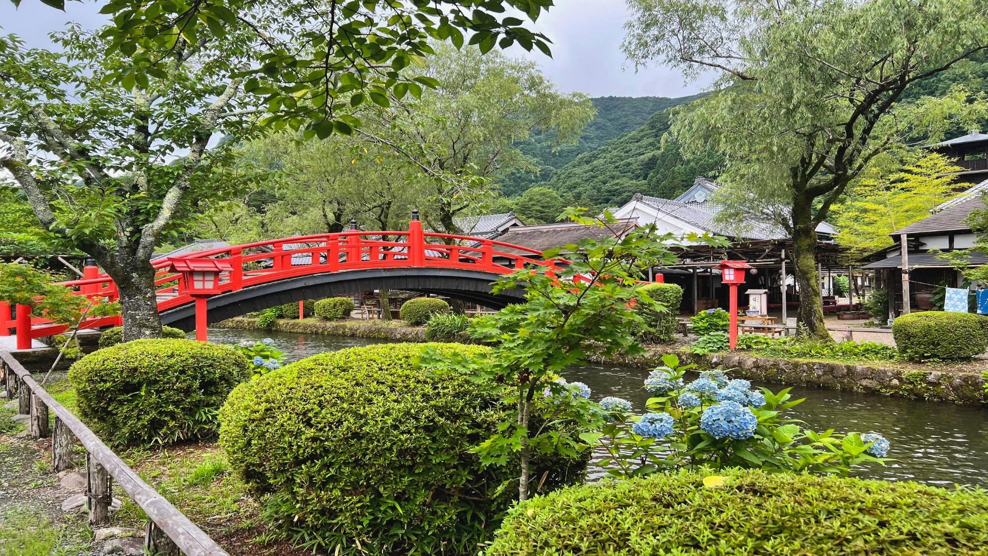 30日上旬（初夏）②