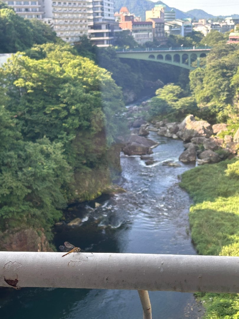 IMG_8135.jpeg