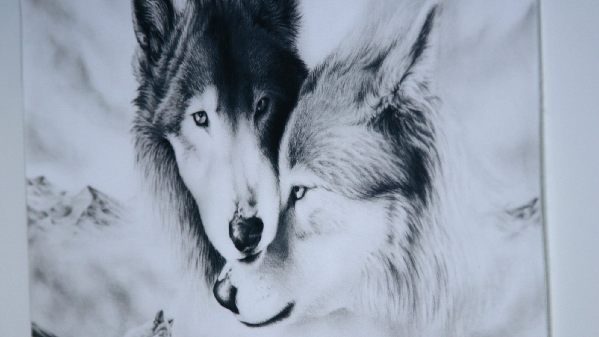 附楼‗G◆此房间适合中型犬。