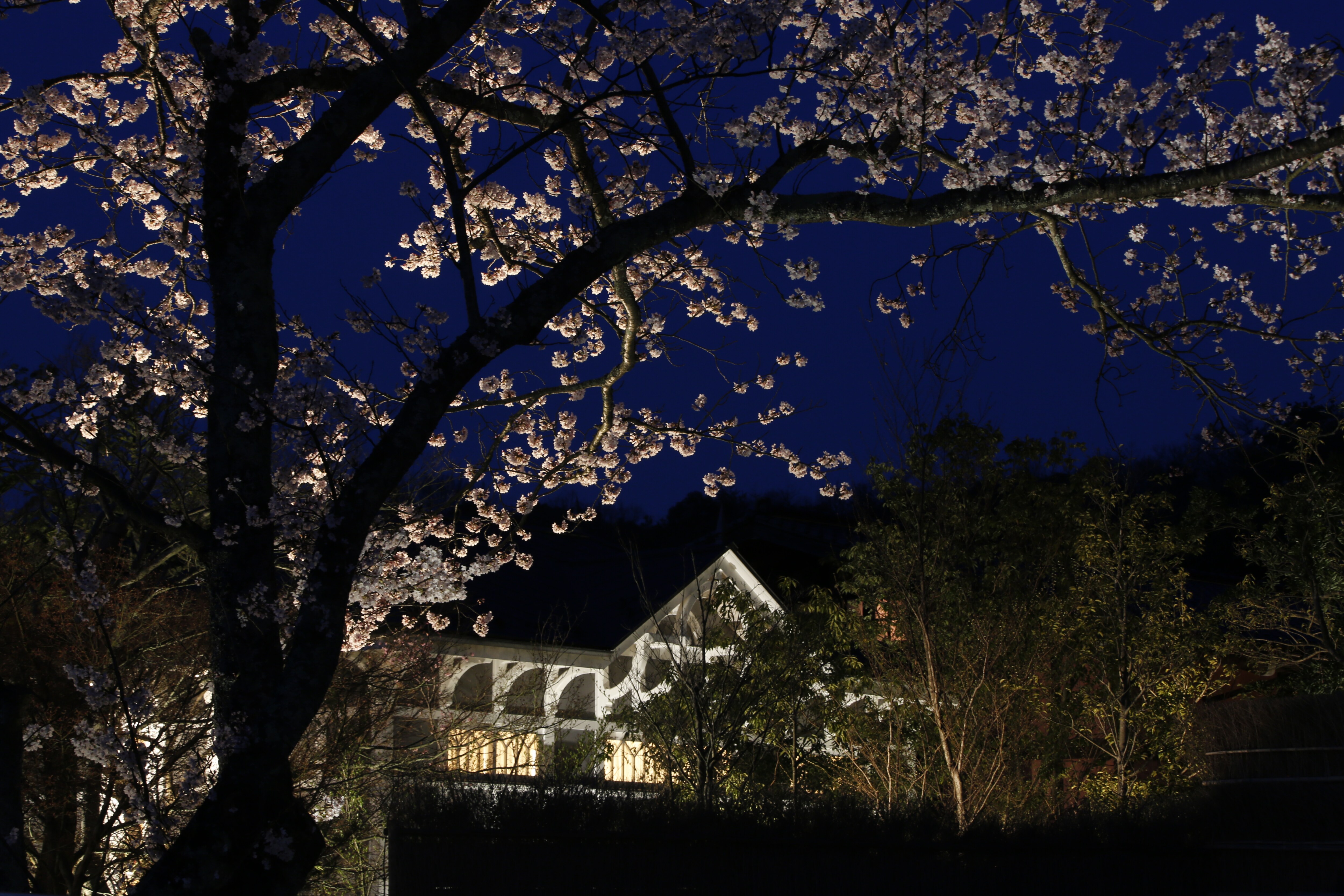 Exterior (spring)