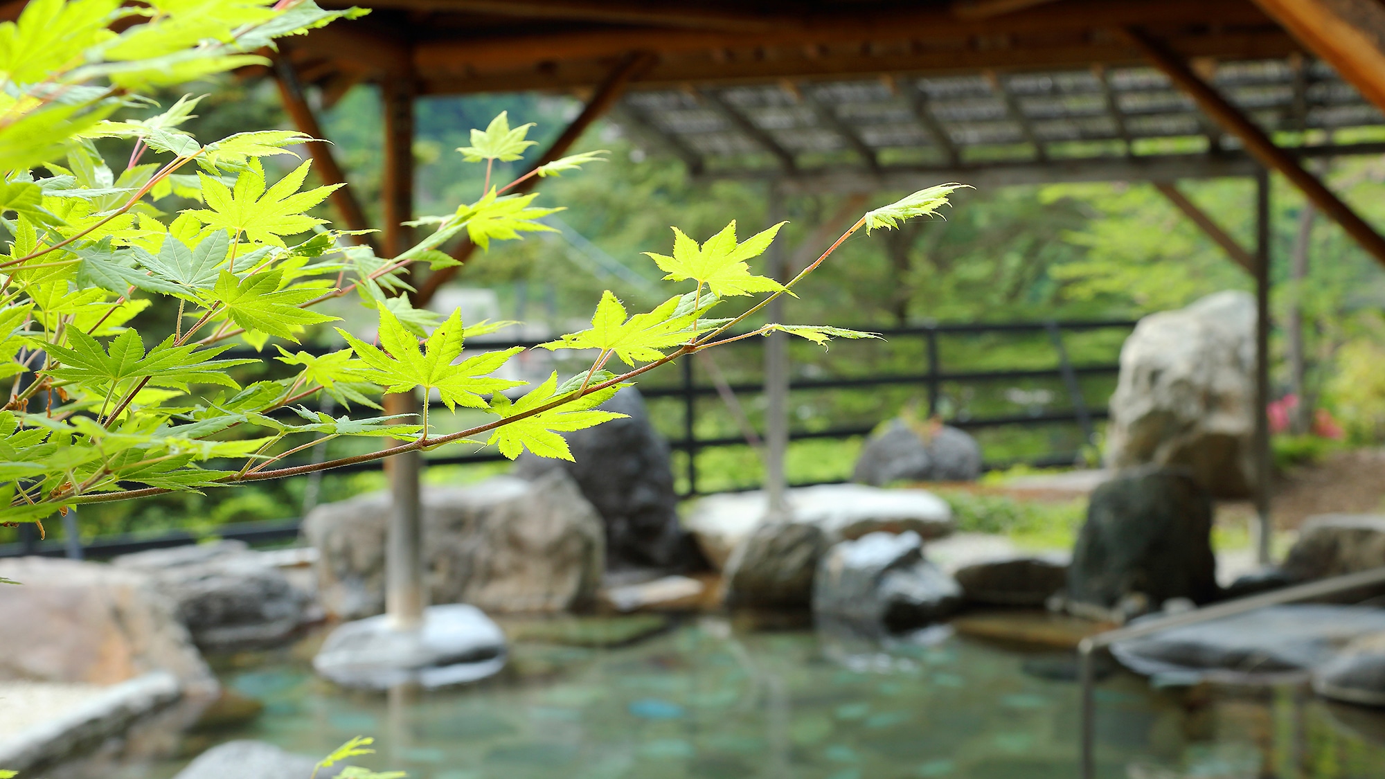 Large public bath "Oniguro Miyu" / open-air bath