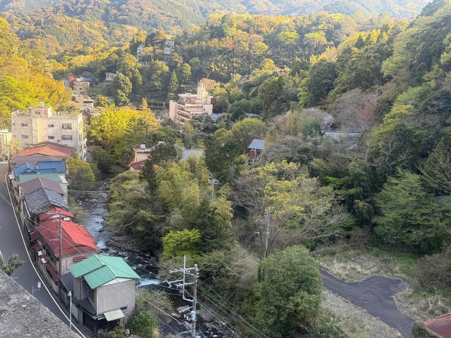 IMG_3176.jpeg