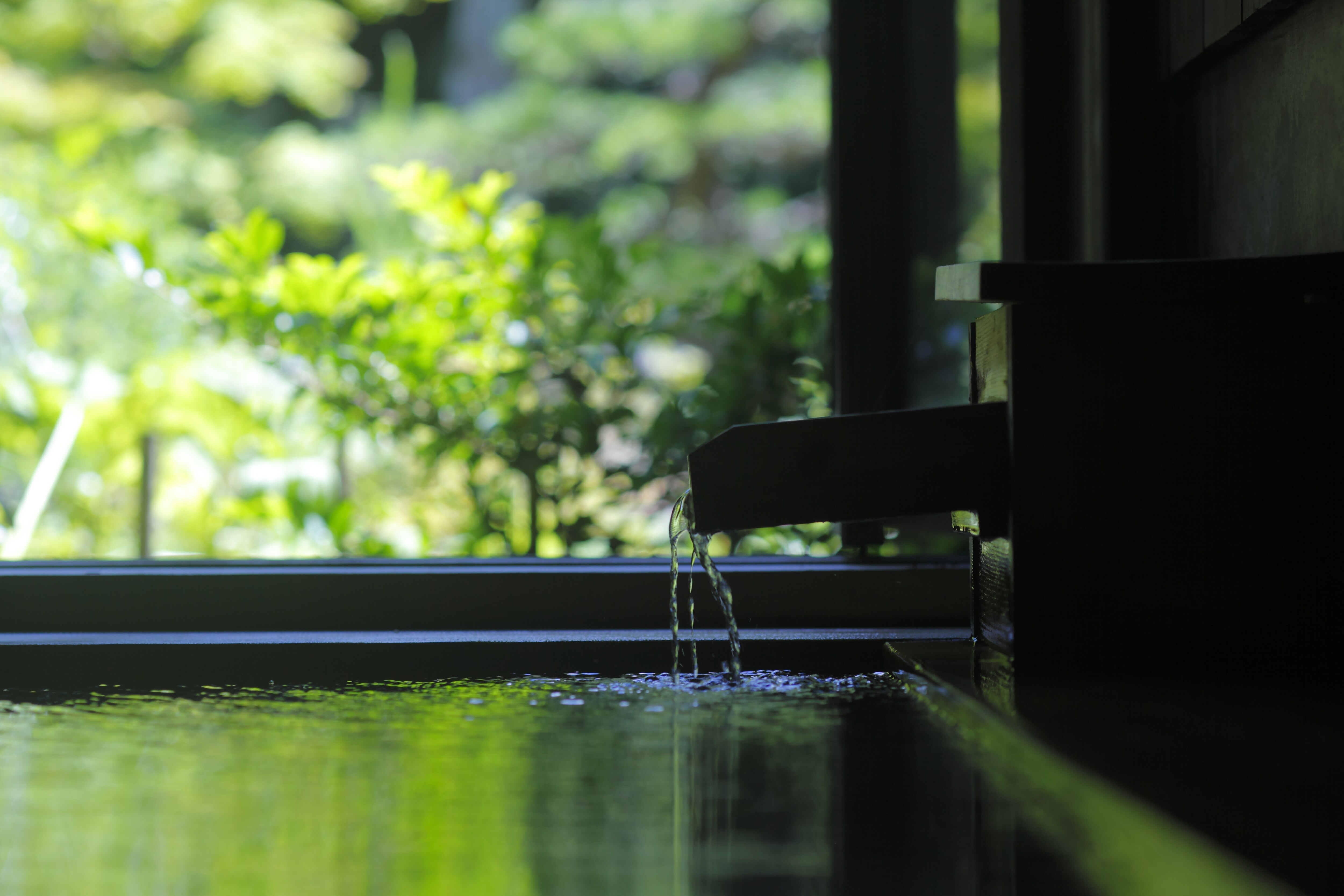 Private bath (cypress)