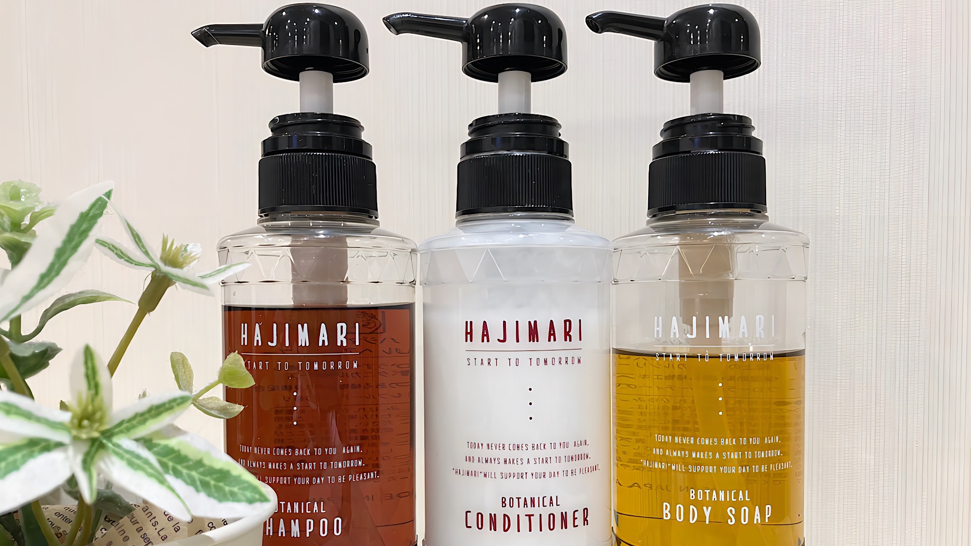 ■Shampoo set■