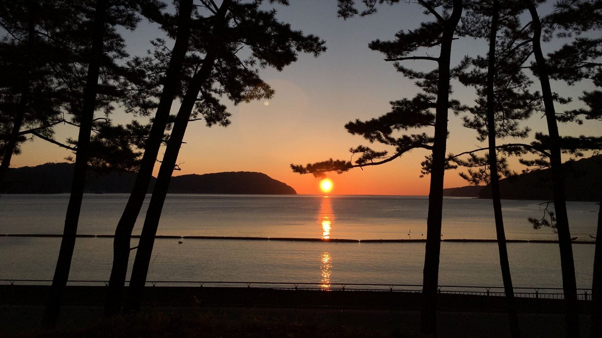 朝日：春季至夏季（四月下旬至八月中旬）