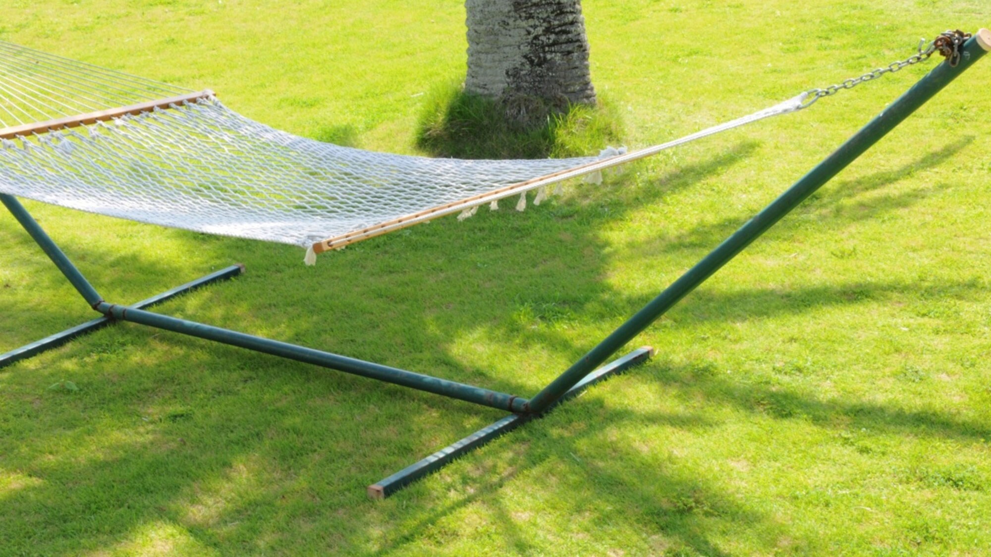 Take a relaxing nap in a hammock under the shade of a palm tree.