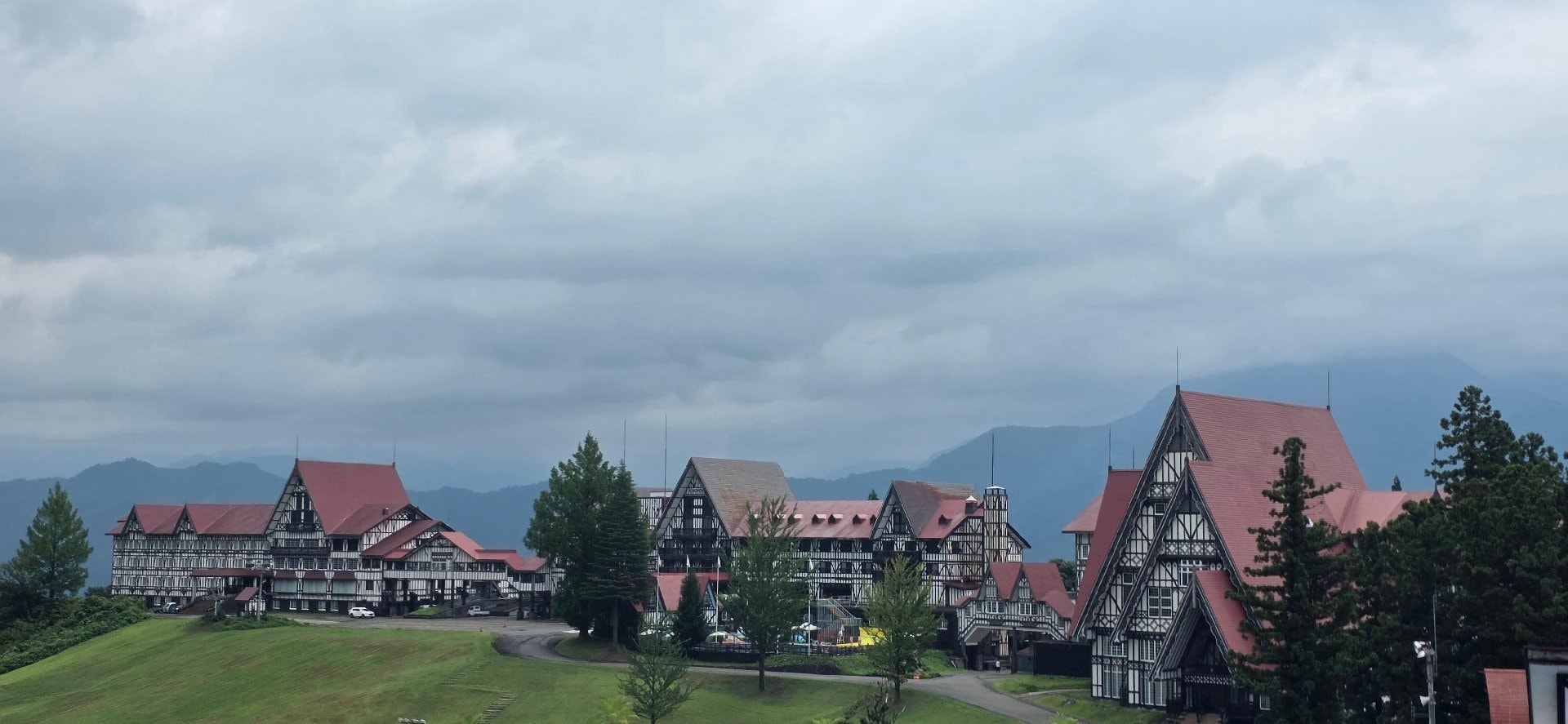 3740.jpg