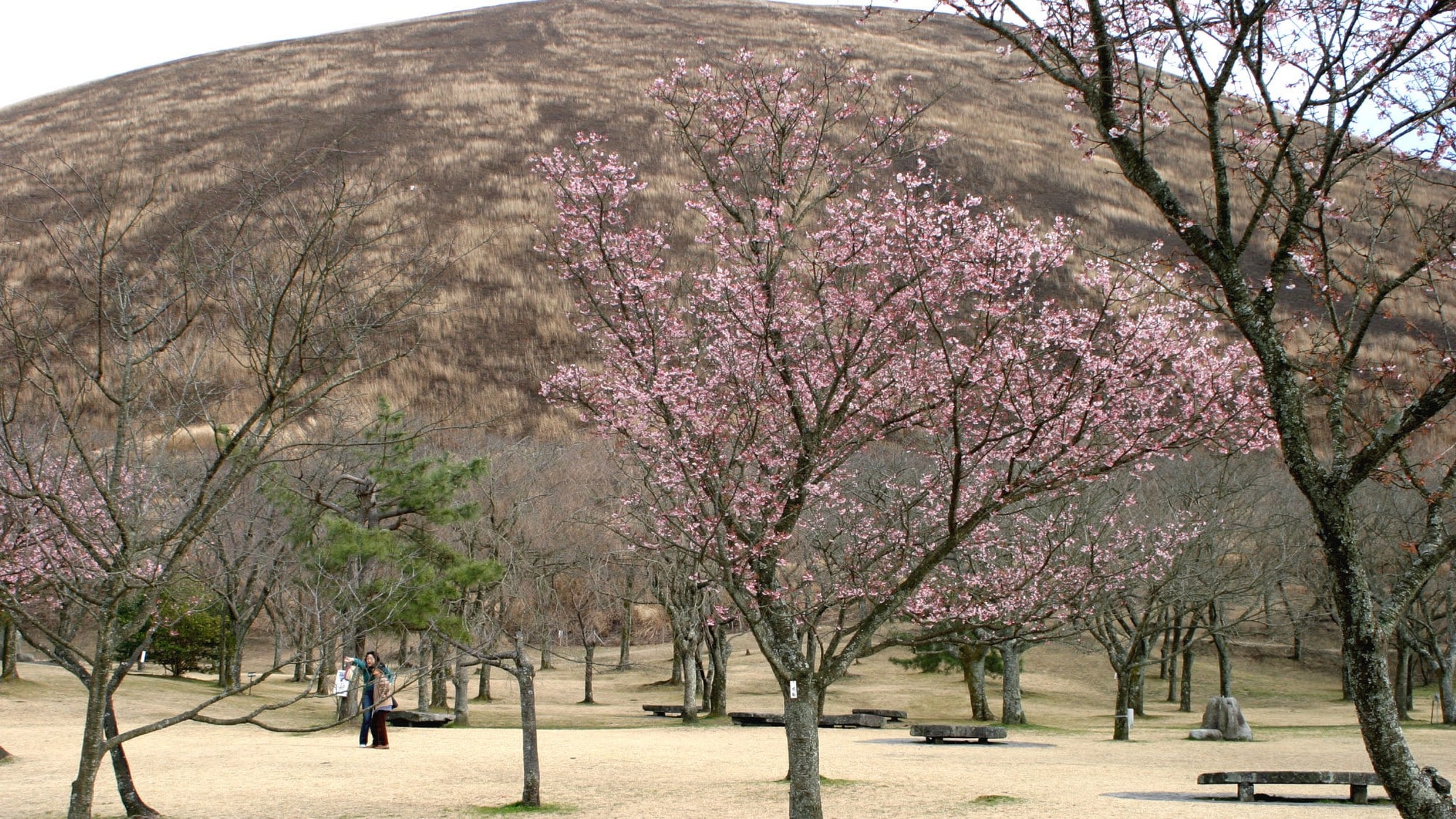 Mt. Omuro 1