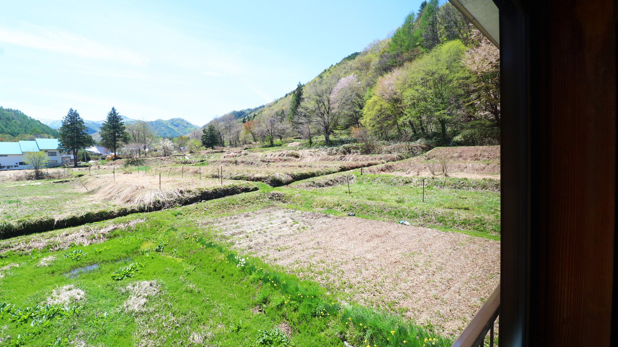 [Image of the view from the guest room]