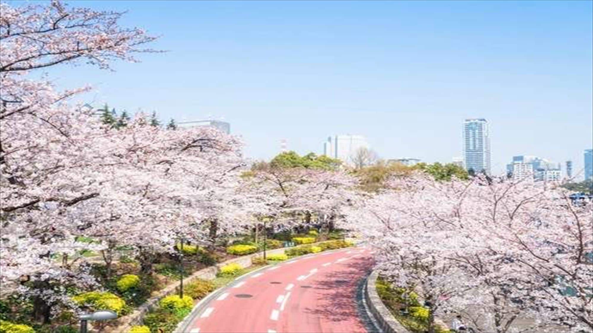 Tokyo Midtown is about 20 minutes on foot!