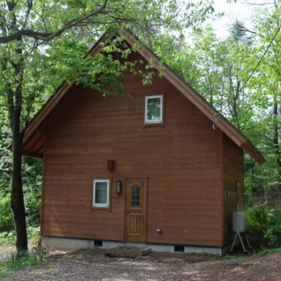 A detached cottage surrounded by fresh greenery