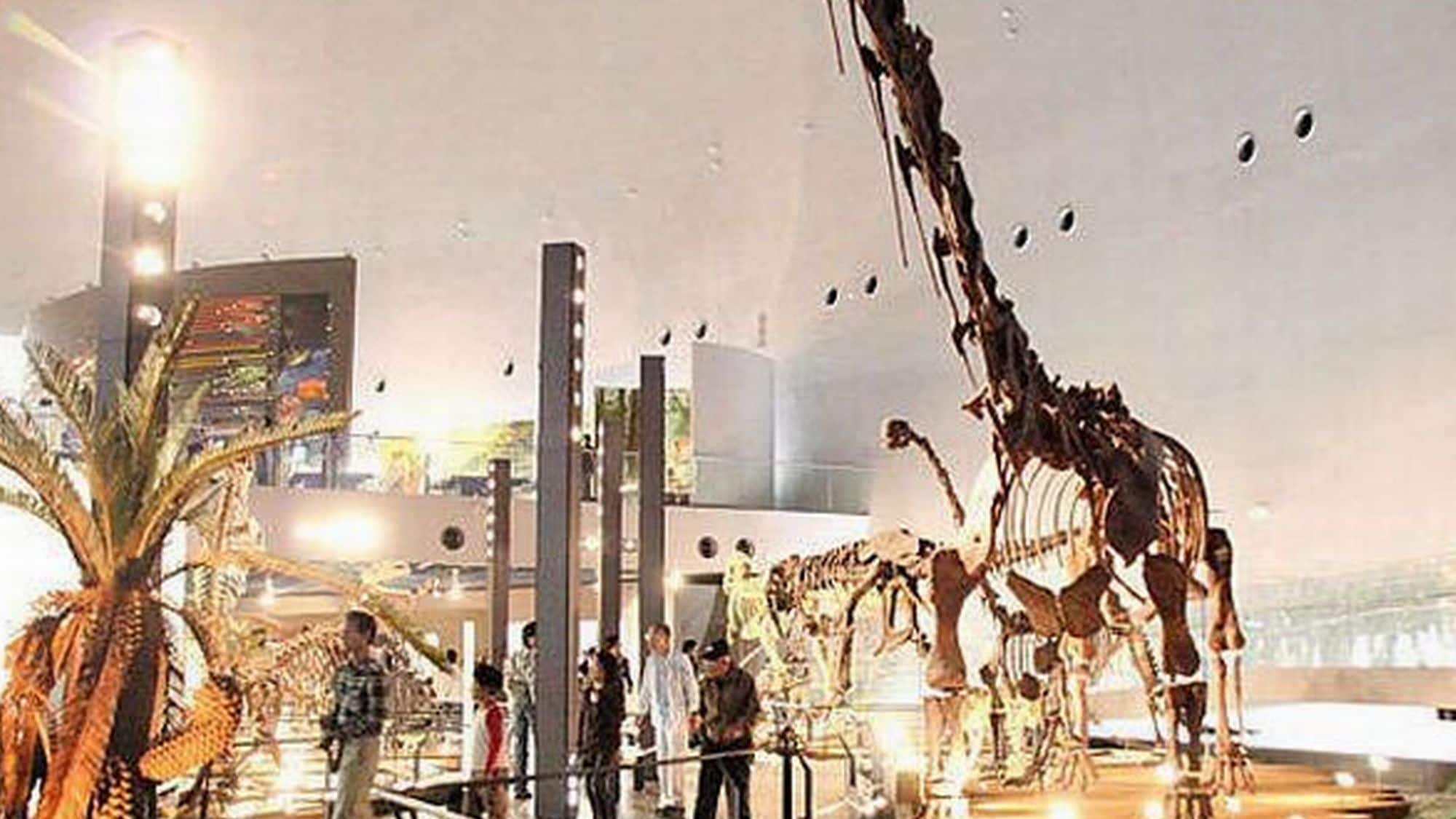 [Dinosaur Museum] The Fukui Prefectural Dinosaur Museum is a world-class facility worthy of the dinosaur kingdom of Fukui.