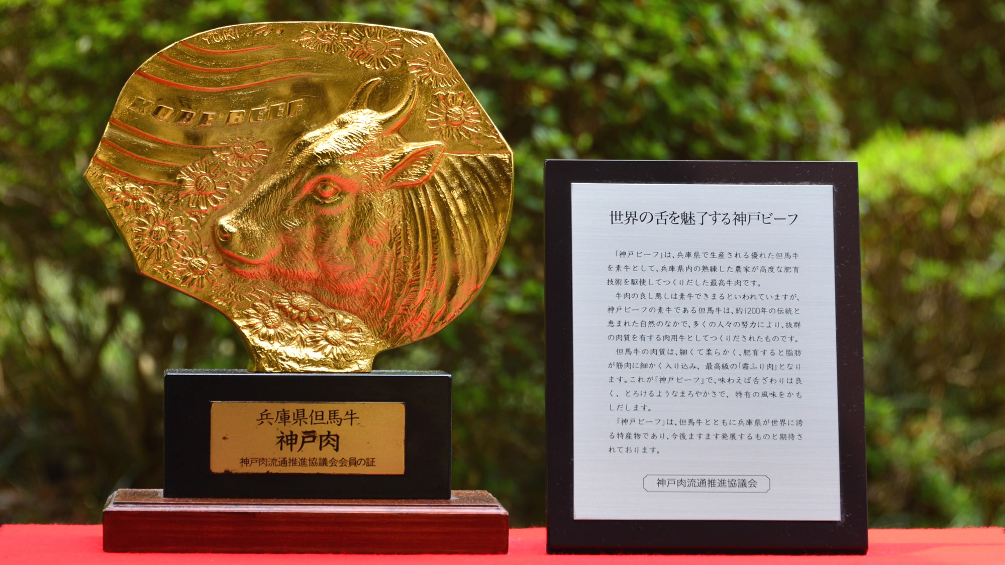 We use carefully selected Kobe beef.