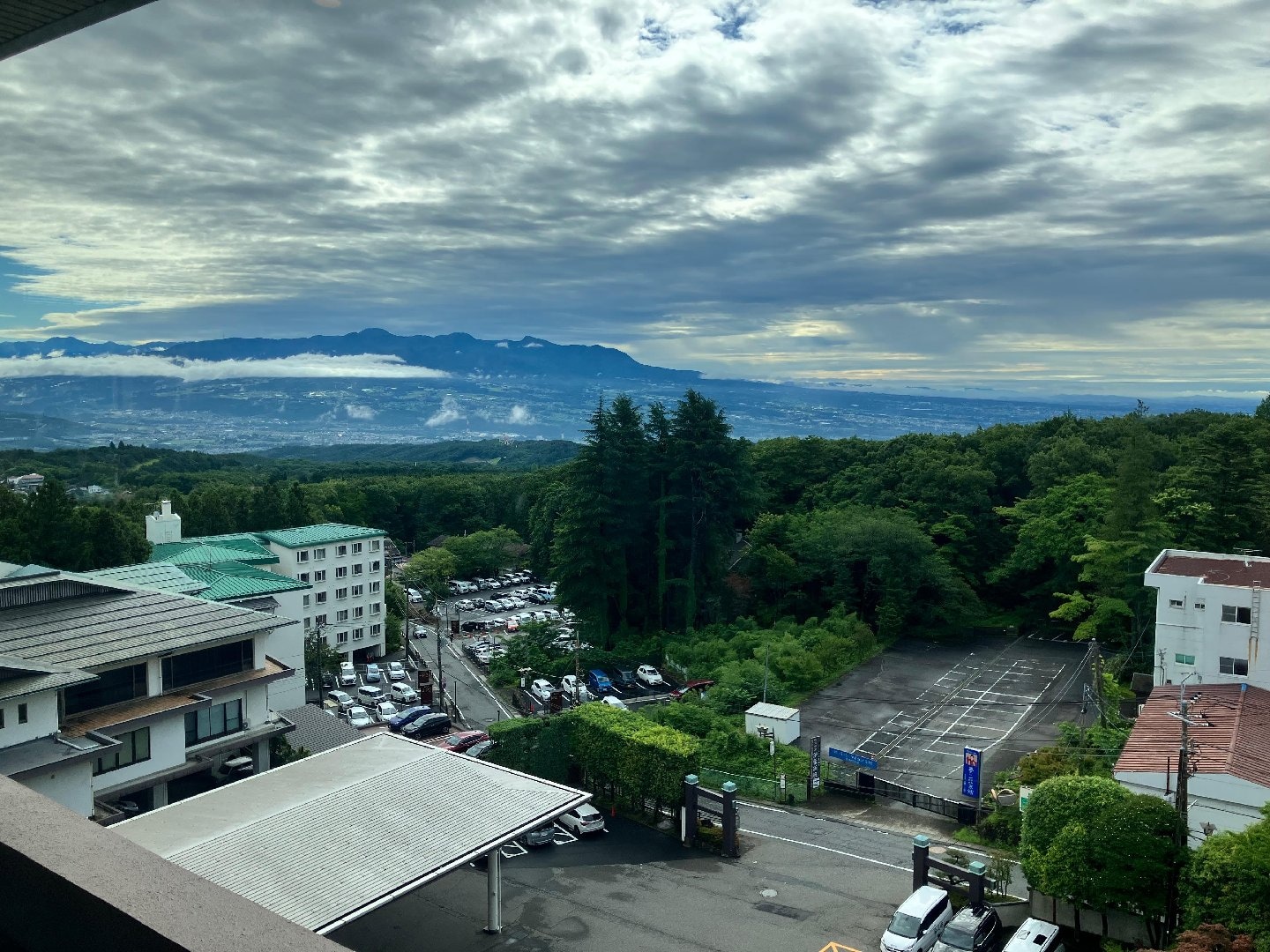 IMG_8725.jpeg