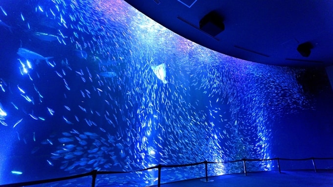 名古屋港水族館 ★ 來見見我們的海洋生物