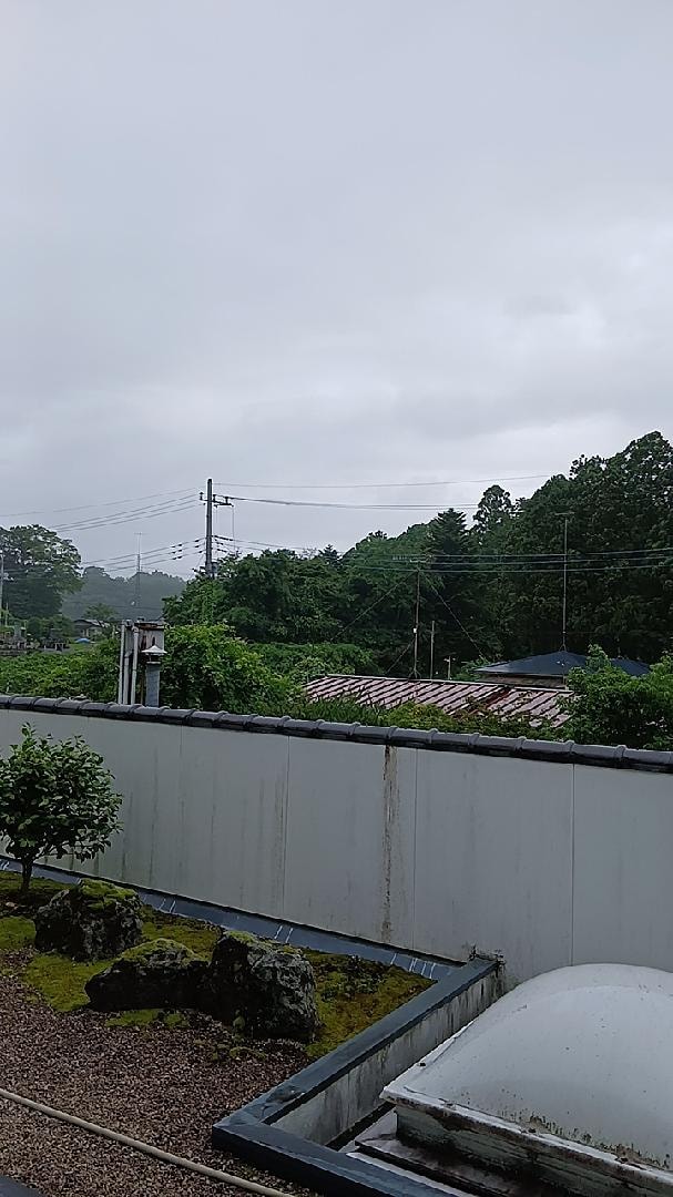 2846.jpg