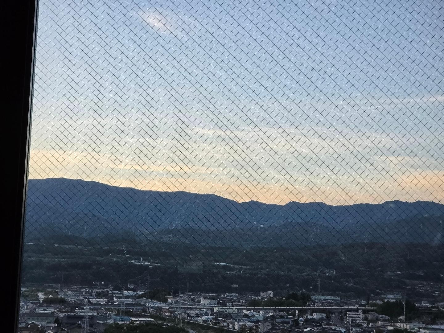 8781.jpg