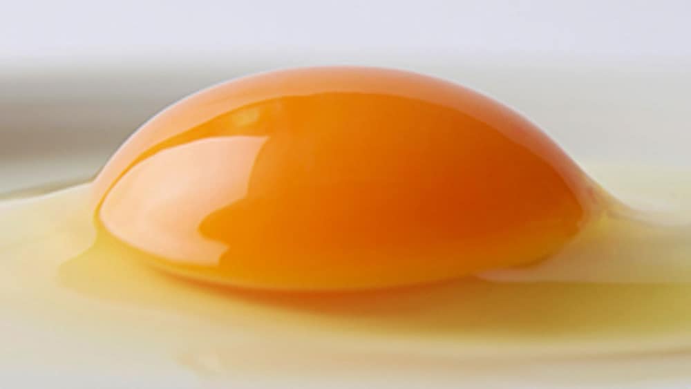 The eggs used in high-end restaurants are local "sun eggs"