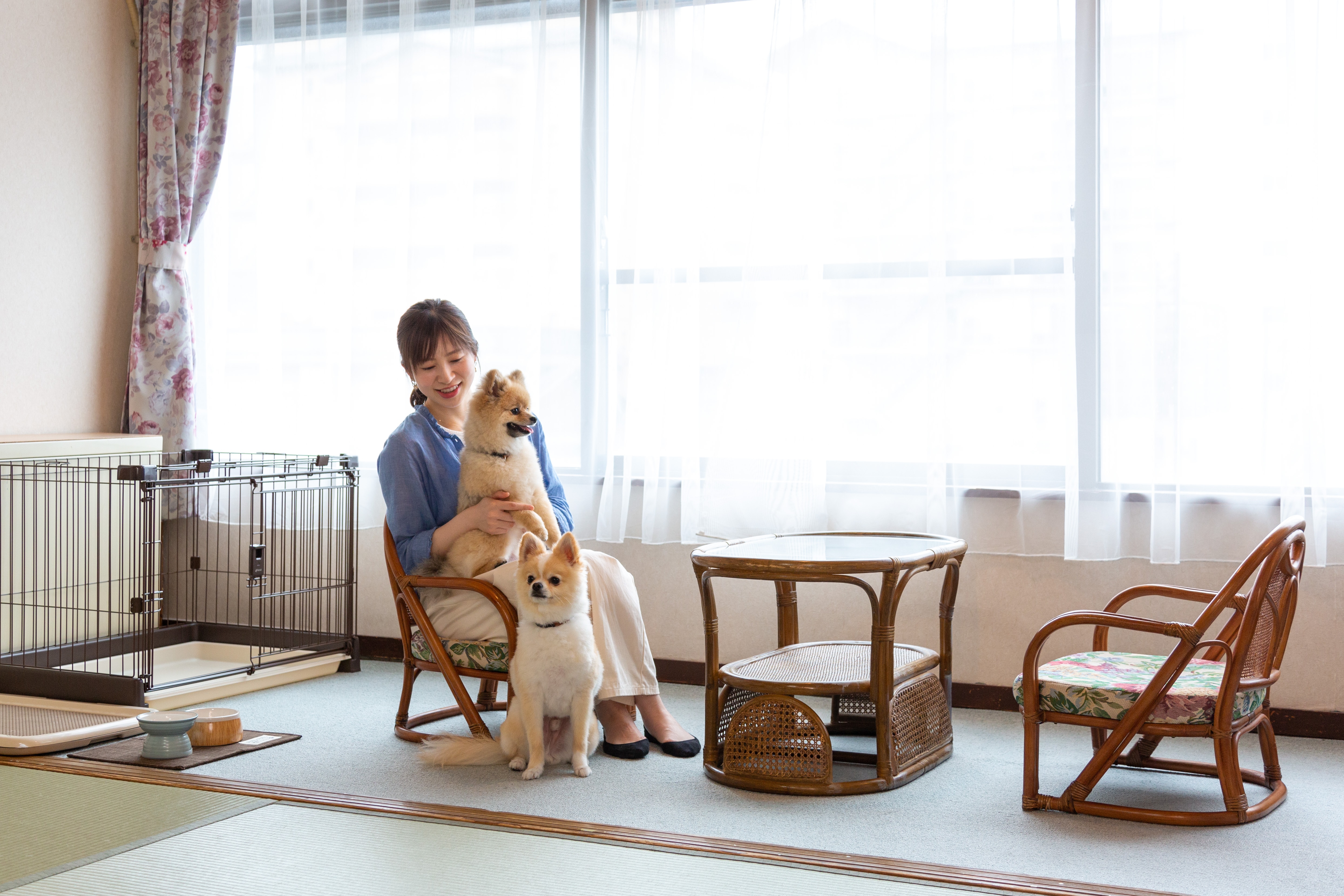 Mulai 1 Oktober 2023, kami akan merenovasi menjadi penginapan sumber air panas tempat Anda dapat menginap bersama anjing Anda♪