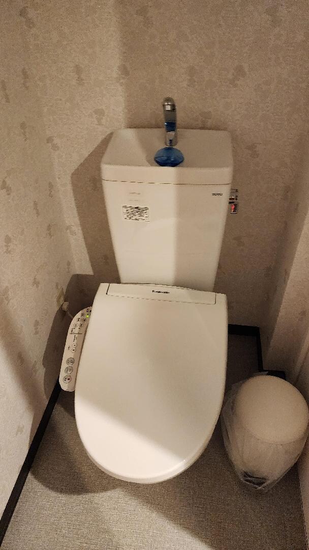 1000032001.jpg