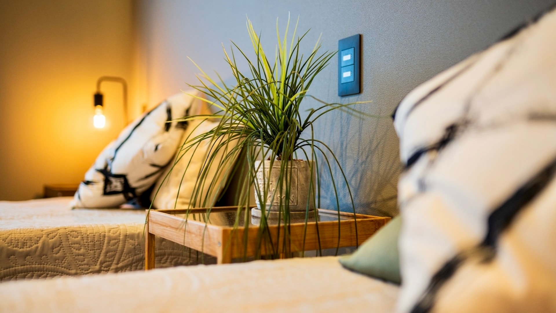 Room 2: Western-style room/twin