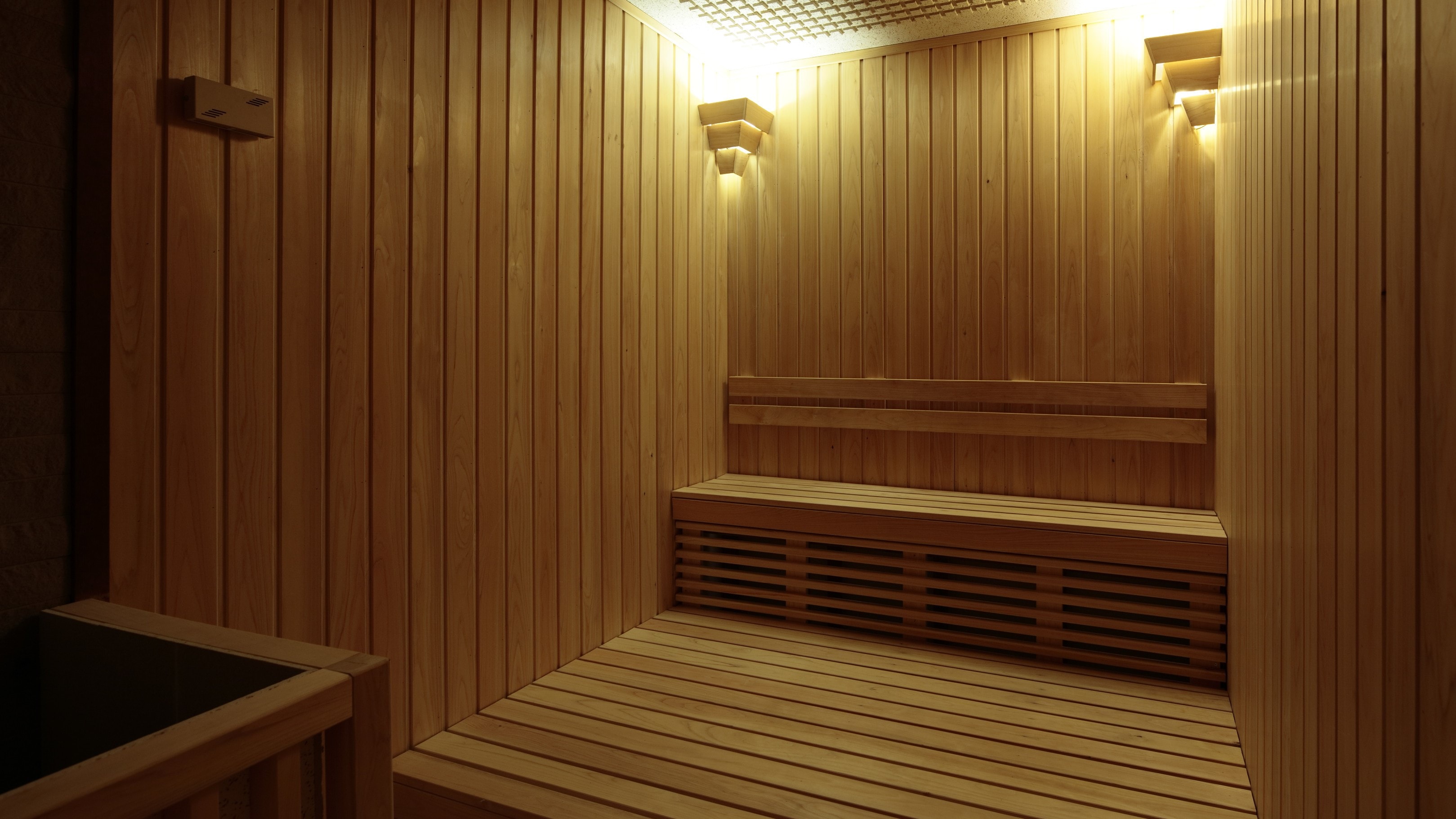 Sauna (men only)