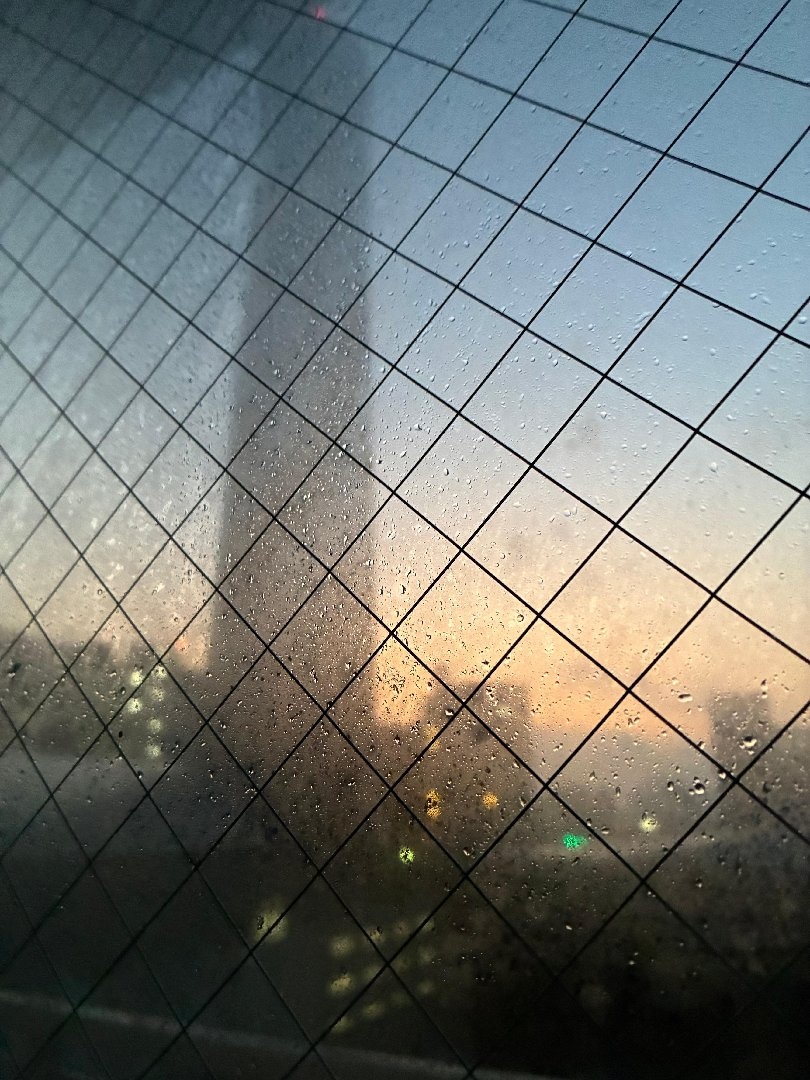 IMG_3038.jpeg