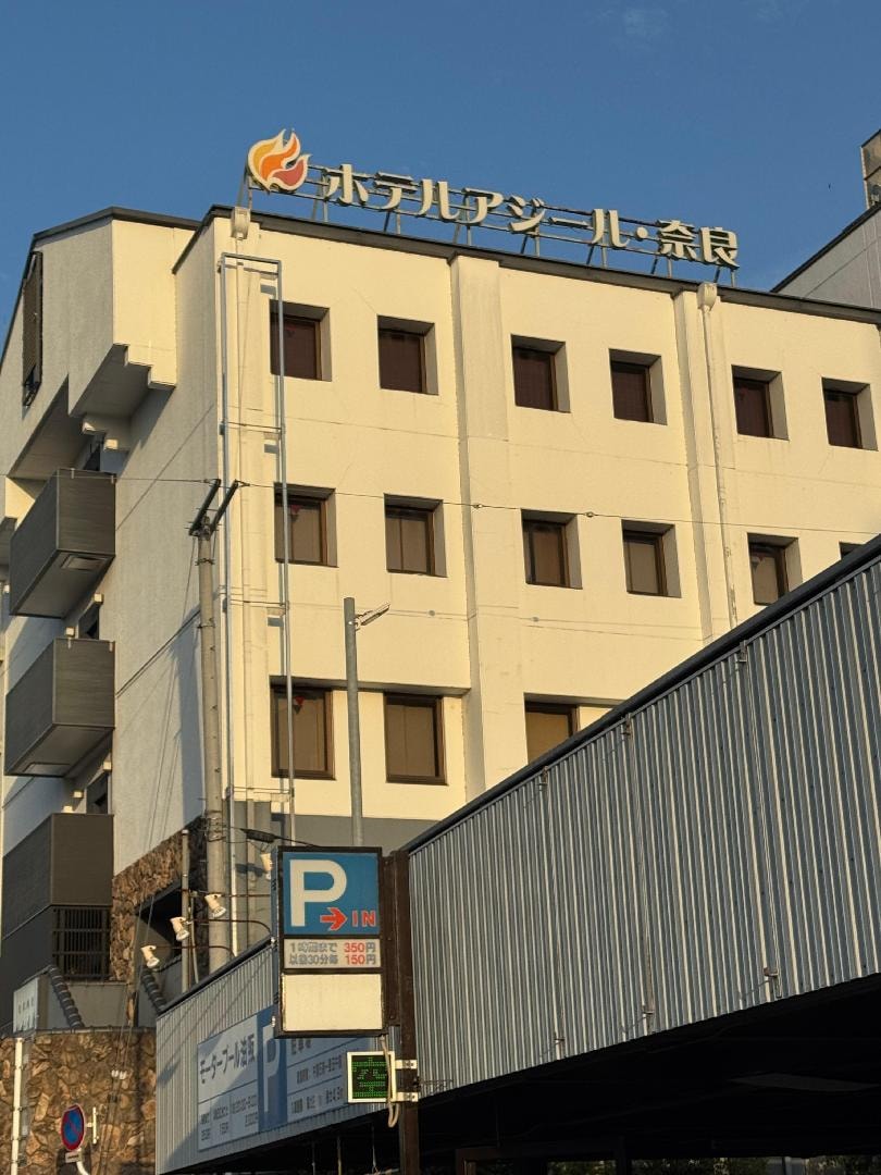 IMG_6556.jpeg