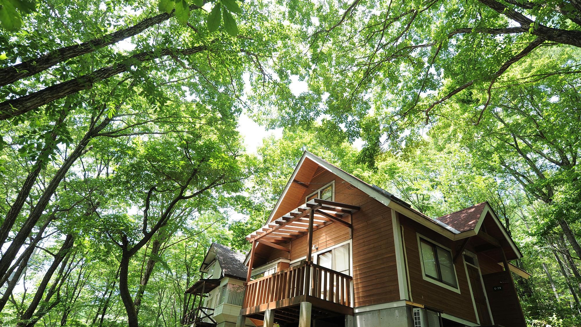 [Kitchen included: High grade] Exterior example
