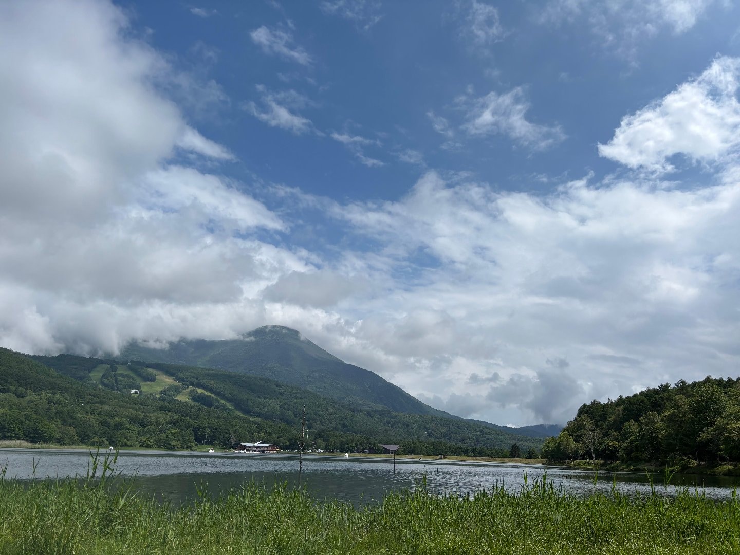 DCBE9470-30DB-4229-8ED2-C452B3240223.jpeg