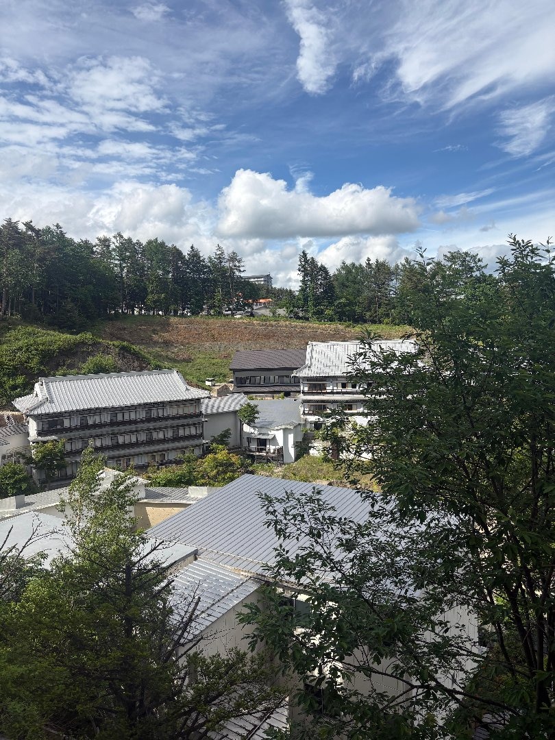 IMG_8768.jpeg