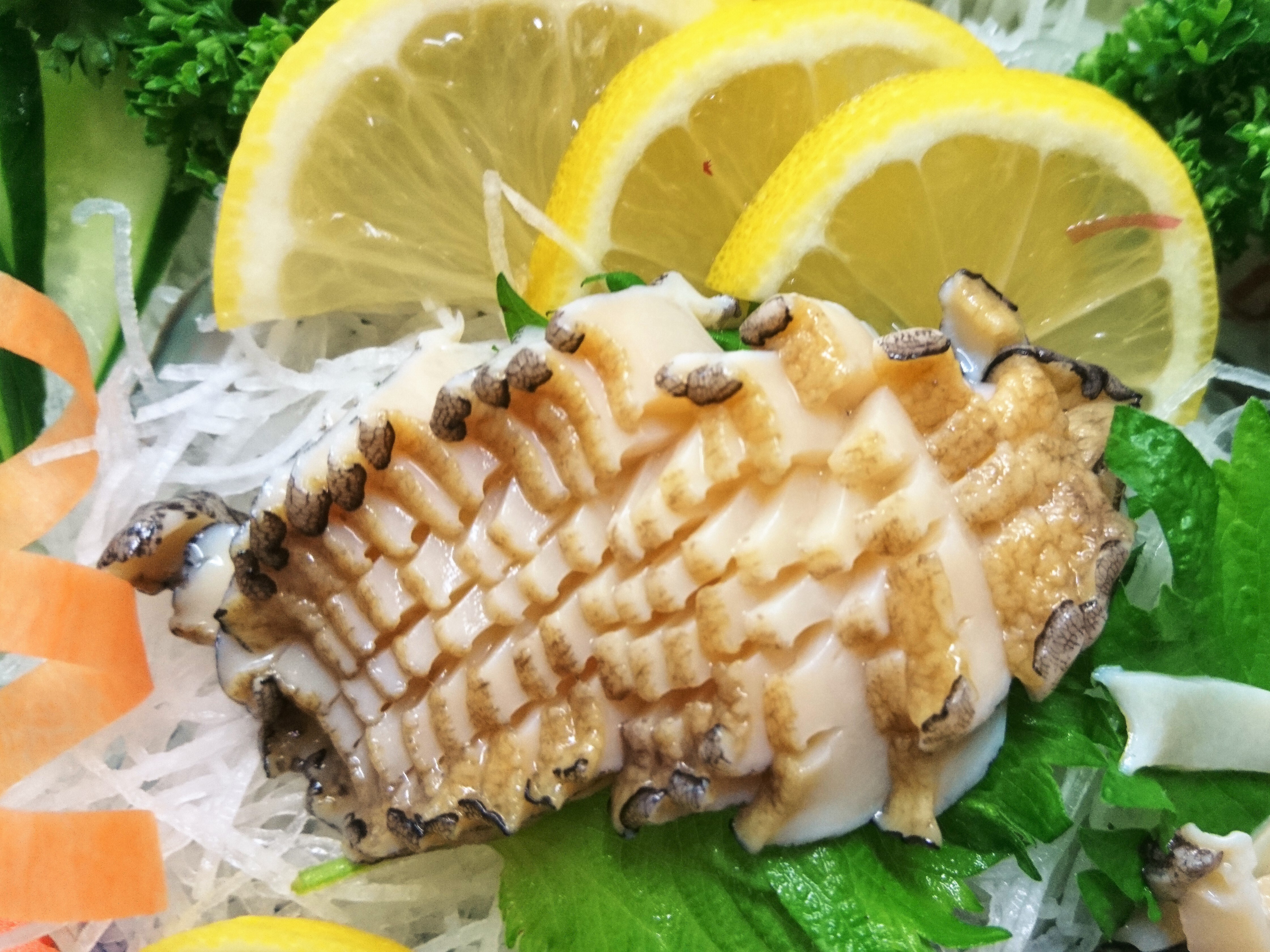 "Bào ngư" từ Amakusa