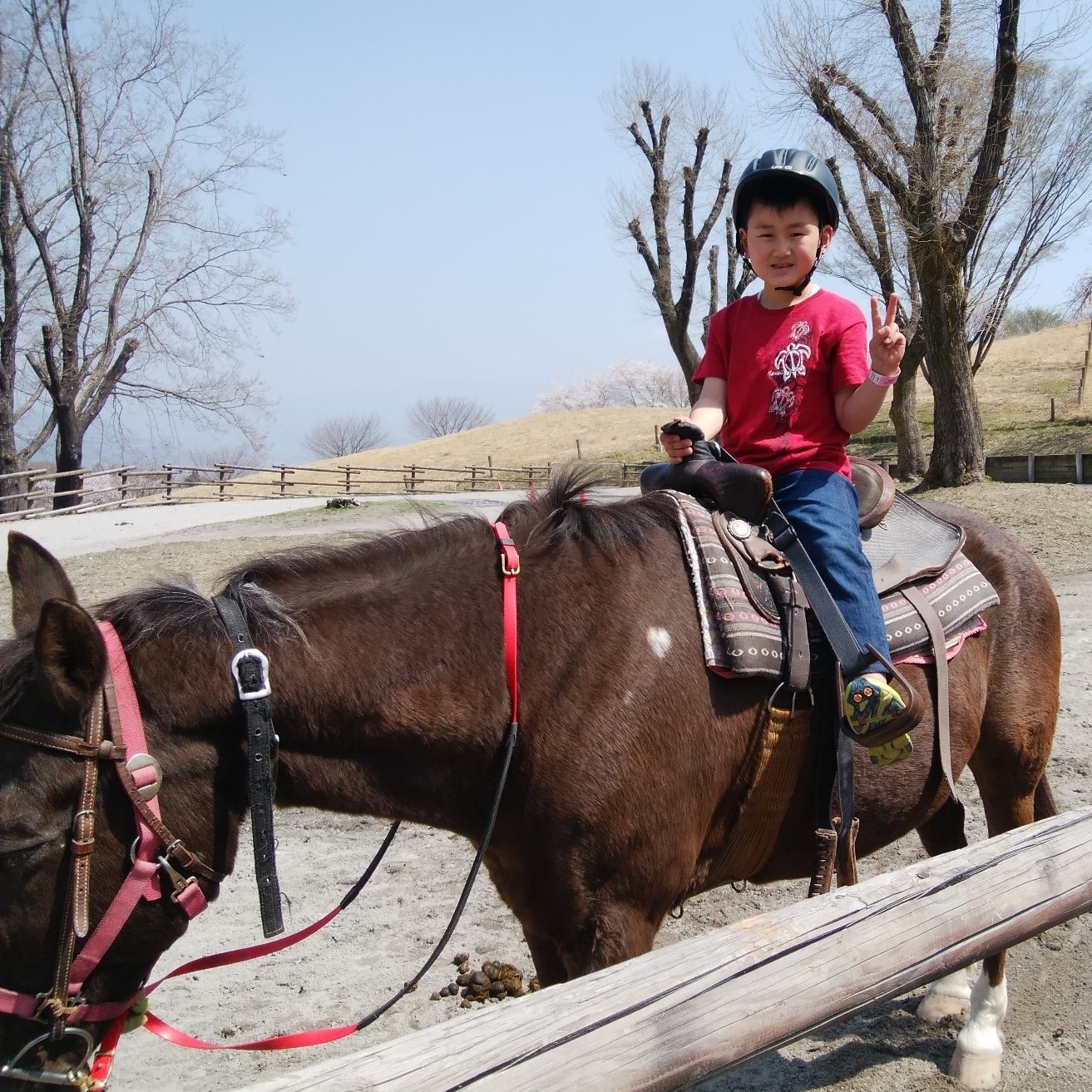 Ikaho Green Ranch - Children's Horseback Riding Experience