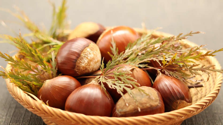 Chestnuts: a taste of autumn